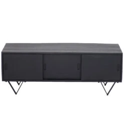 Giga Meubel Tv-Meubel Zwart - Mangohout - 120x40x60cm - Schuifdeuren