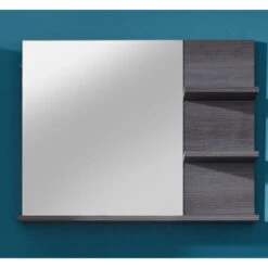 Hioshop Spiegel MiamiMaine - Rookzilver -VIDAL Salle De Bain Winkel 1000092917 0110