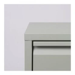 Redin Design Pippen Industrieel Schoenenkast 2 Lade Groen - 22,5x75x77,5 Cm -VIDAL Salle De Bain Winkel 1000094164 0103